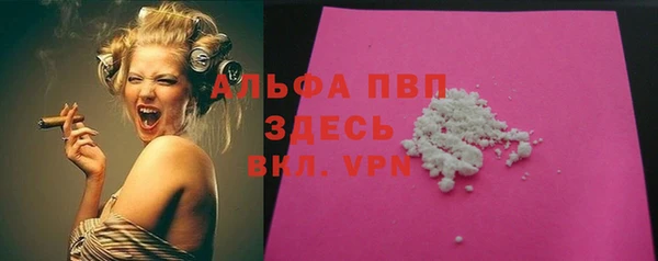 стафф Шадринск