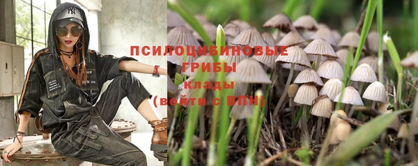 крисы Шарыпово
