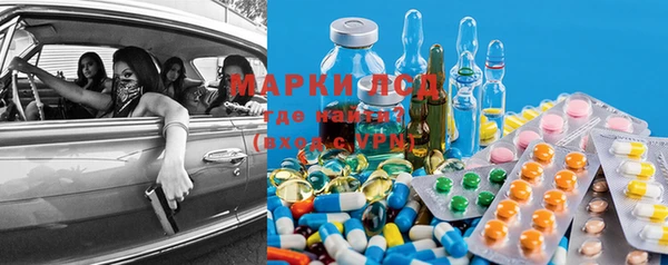 стафф Шадринск