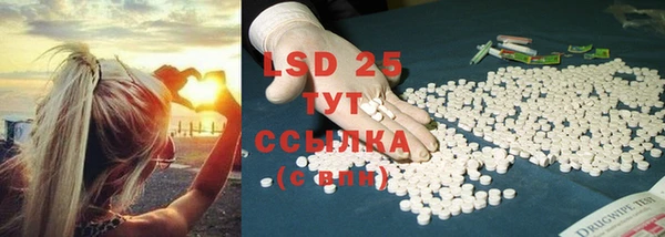 крисы Шарыпово