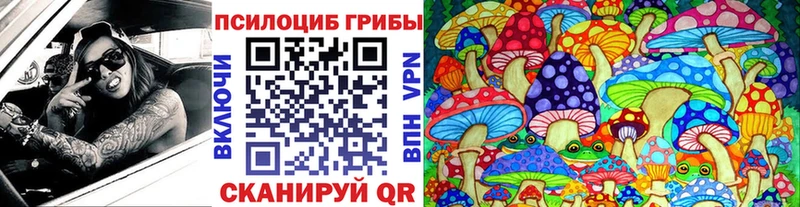 сколько стоит  гидра как войти  Галлюциногенные грибы Cubensis  Раменское 