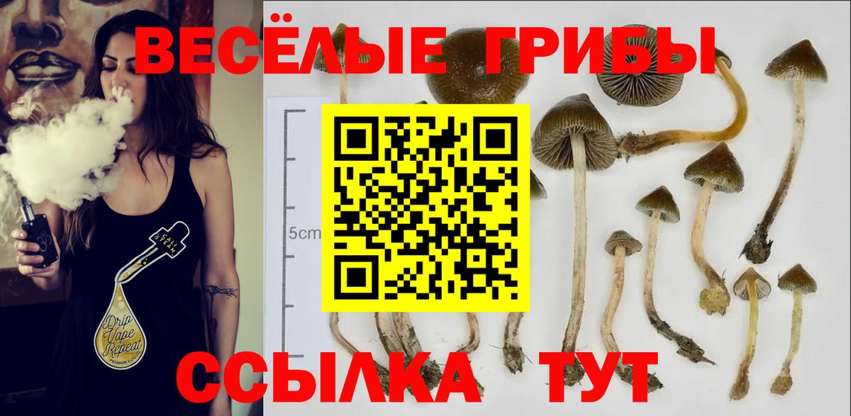 Галлюциногенные грибы GOLDEN TEACHER Раменское